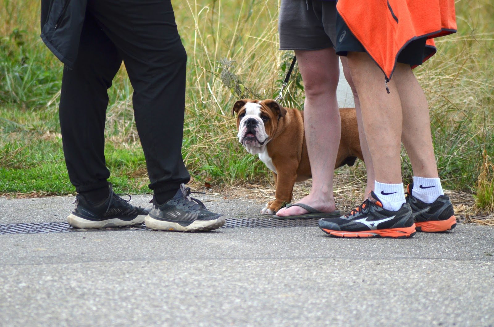 Courses Nature Magstatt 2026 — photo 148